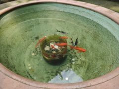 -道教老君洞