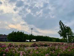 -新木器时代餐厅(太湖新天地店)