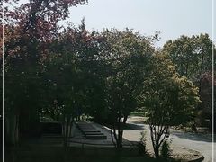 -同济大学(嘉定校区)