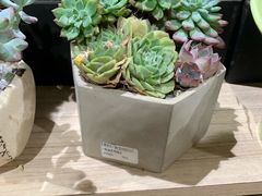 -AEON永旺(东方宝泰店)