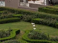 -马勒别墅饭店(静安寺店)