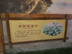 -华山御温泉度假村