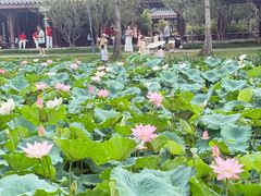 -惠州西湖风景名胜区-丰渚园