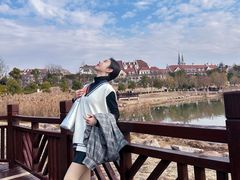 -九龙湖公园