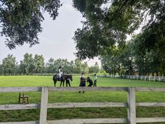 -北京群众马术培训基地