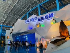 -泉城欧乐堡海洋极地世界