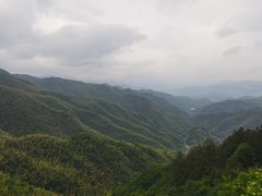 -四明山国家森林公园