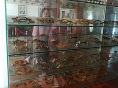 -鼓浪屿钢琴博物馆