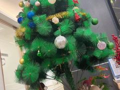 -Dr.Z dental仁康种植矫正中心