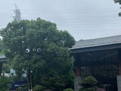-杭州开元森泊度假乐园