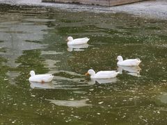 -中国农业博物馆