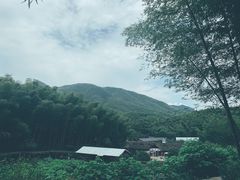 -宁波浙东大竹海景区