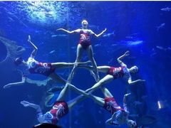 -多彩贵州城极地海洋世界