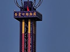 -西霞口神雕山野生动物世界