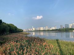 -南宁南湖公园