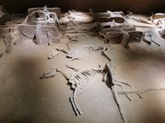 -洛阳周王城天子驾六博物馆