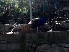 -开元溶洞