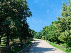 -北京西山国家森林公园