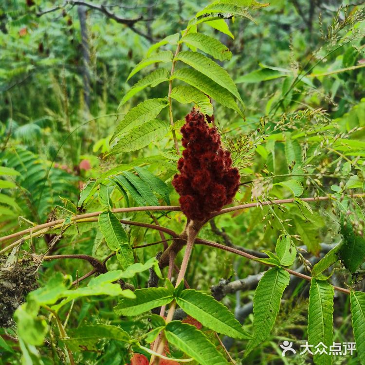 龙回头位于辽宁省兴城市，龙湾海滨浴场以南2公里处