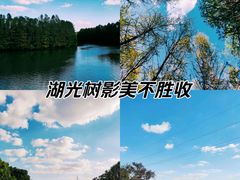 -上海海湾国家森林公园