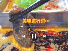 -红鼎坊·老成都火锅(新南门店)