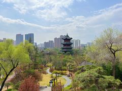 -迎泽公园