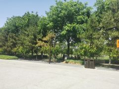 -汉长安城未央宫国家考古遗址公园