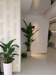 -魔型社烫染店