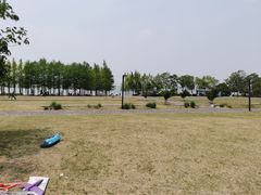 -苏州湾体育公园
