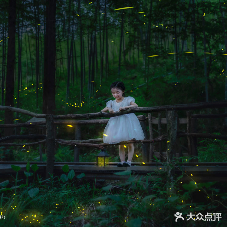 🌟莫干山zui梦幻的萤火虫基地,私藏的宝藏地