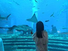 -亚特兰蒂斯•OSSIANO奥西亚诺海底餐厅