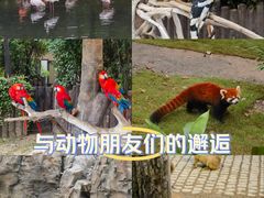-上海野生动物园
