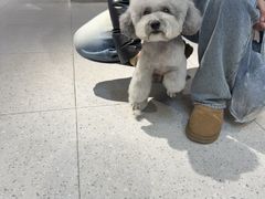 -FAELING PETS美天灵宠物(富力广场店)