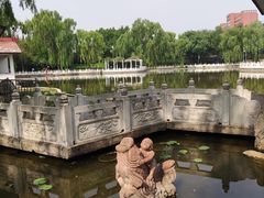 -丰台花园
