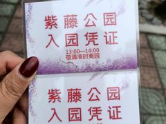 -嘉定紫藤园
