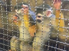 -成都浩海立方海洋公园