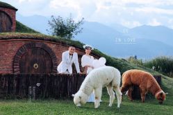 点击看大图 -太古映画婚纱摄影(天河店)