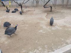 -森林公园(尖草坪区)