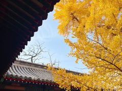 -承恩寺