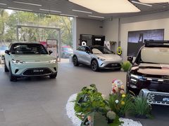 -上海浦东smart汽车全功能店(金桥店)