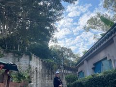 -八卦楼风琴博物馆