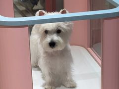 -FAELING PETS美天灵宠物(合生汇店)