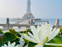 -三亚南山文化旅游区