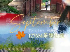 -阳台山自然风景区