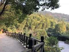 -九龙潭景区