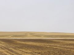 -山丹皇家马场