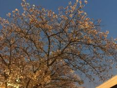 -上海南浦大桥长途旅游客运站