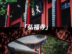 -黔灵山公园