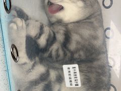 -德元·美联众合24小时动物医院(总院)