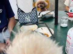 -陈记锅巴菜(五大道店)